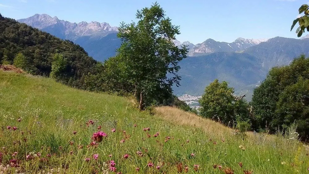 Rifugio Uschione Guest House Chiavenna 0*,  Italy